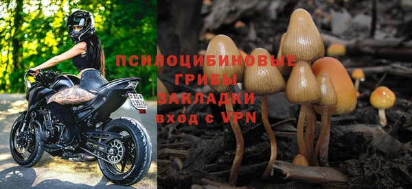 прущий лед Алексин
