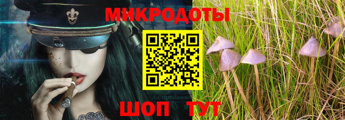 Псилоцибиновые грибы Cubensis Родники