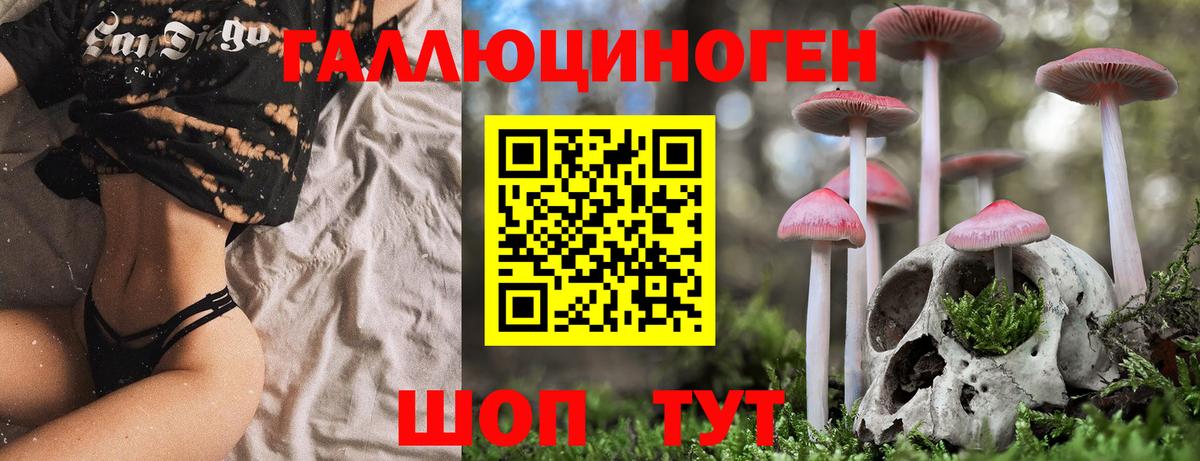 Родники  Галлюциногенные грибы MAGIC MUSHROOMS  Вход с VPN 
