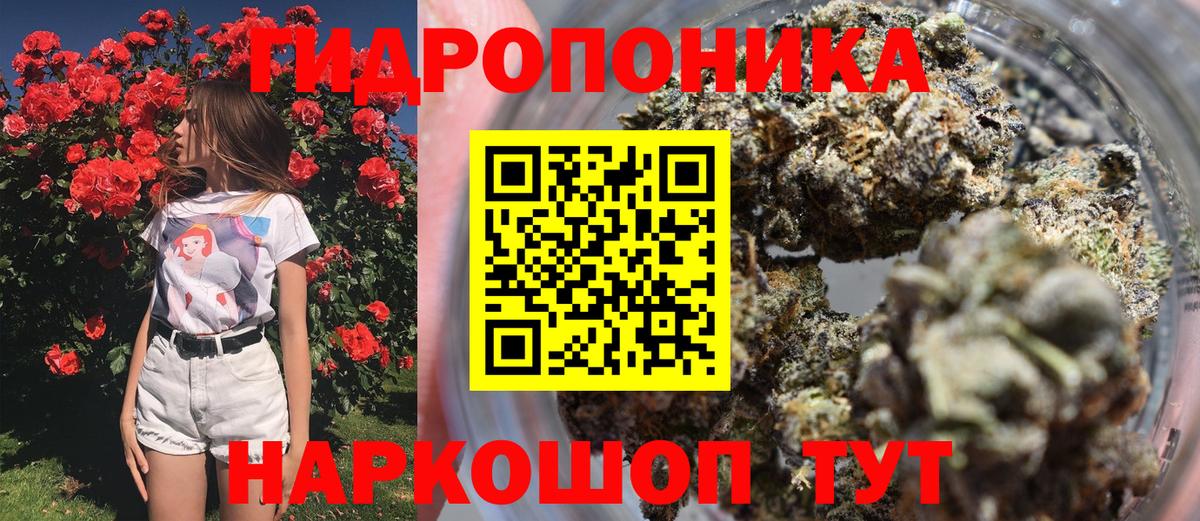 Бошки Шишки сатива Родники